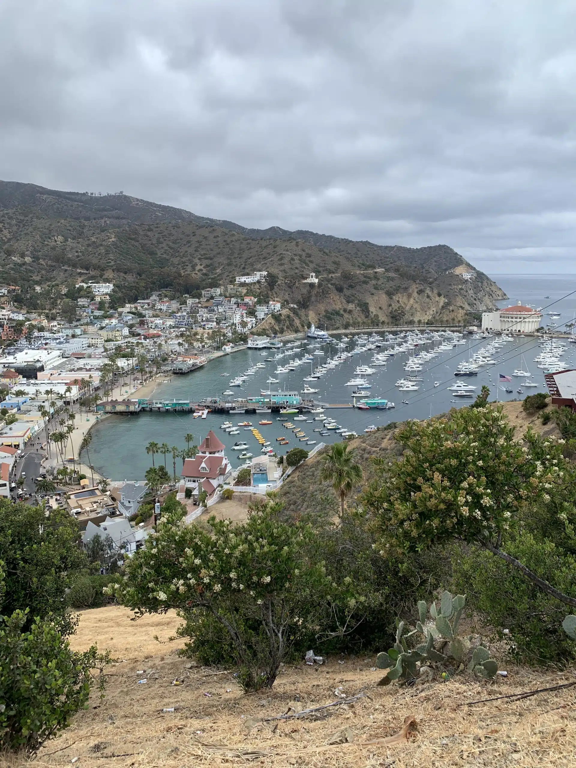 Catalina Island Harbor