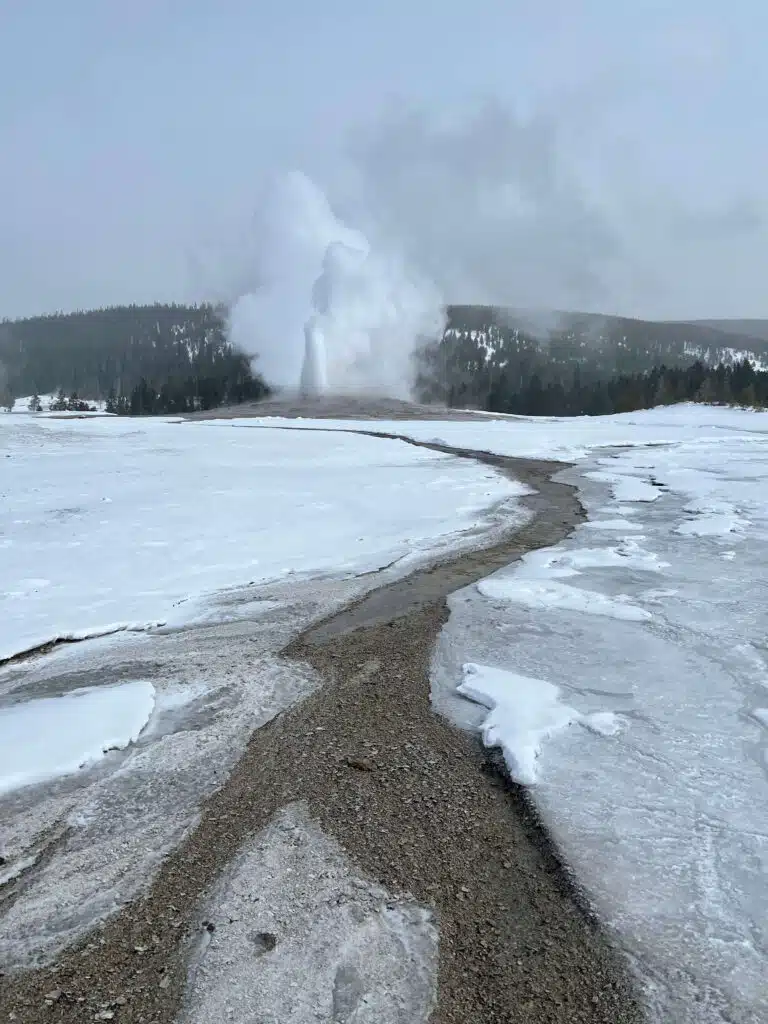 Old Faithful eruption in Yellowstone National Park