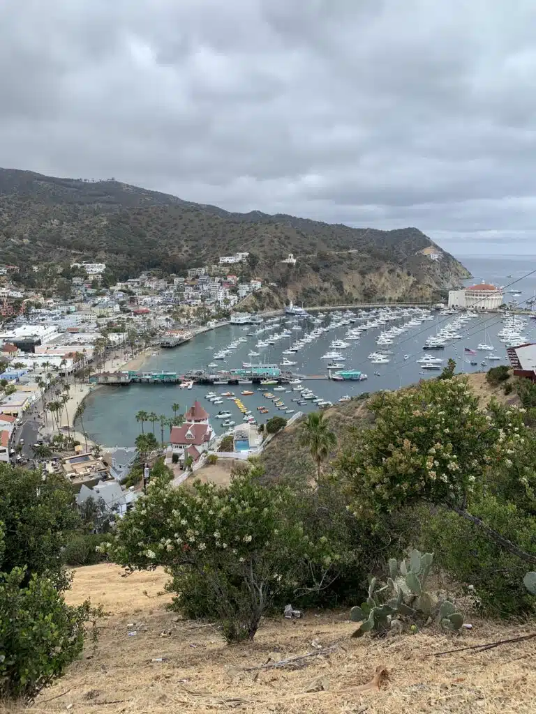 Catalina Harbor