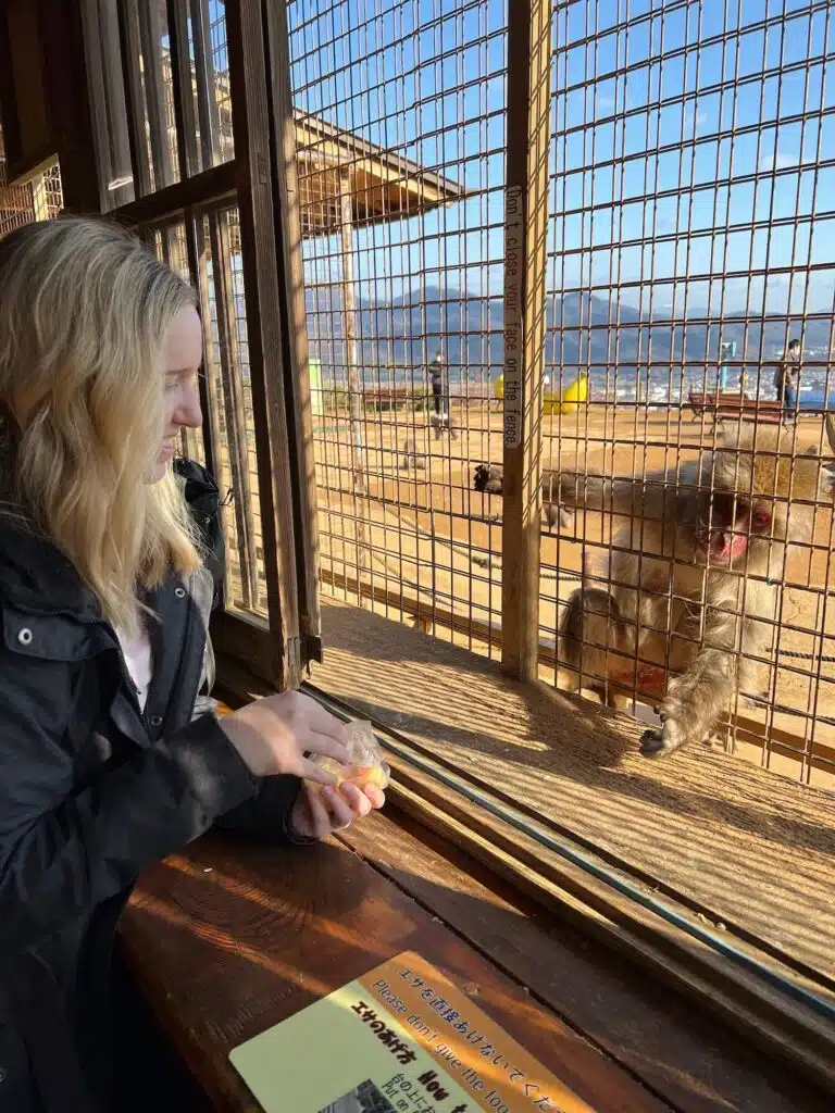 Feeding monkeys at Iwatayama Monkey Park in Arashiyama right outside Kyoto, Japan