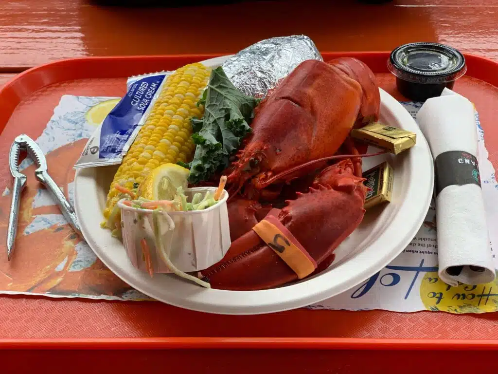 Fresh caught lobster lunch in Portland Maine