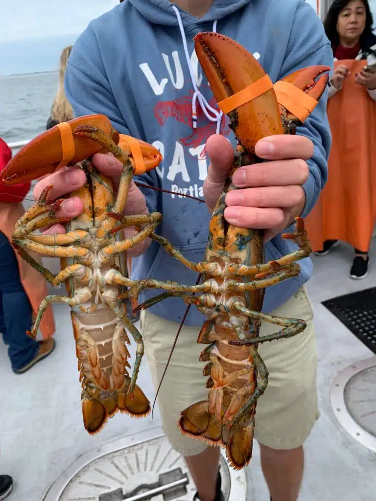 Lobstering in Portland, Maine