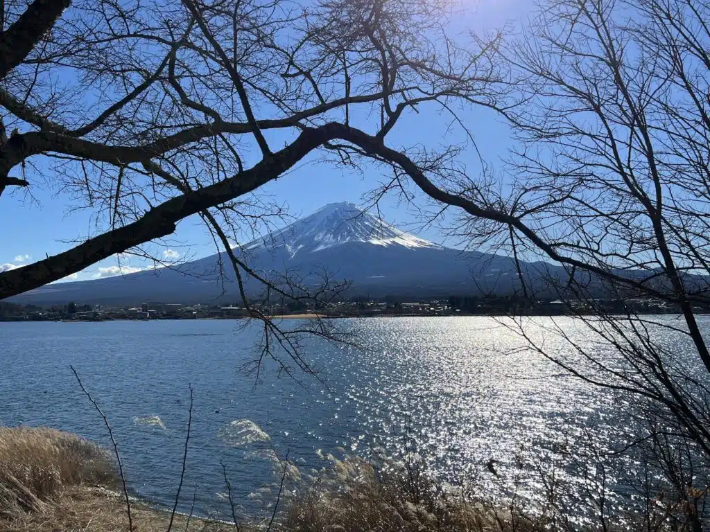 Mt Fuji 