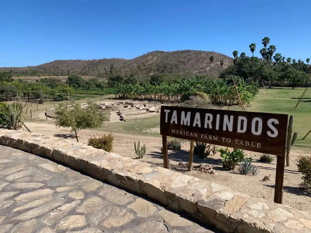 Tamarindos farm to table cooking class in Cabo Mexico