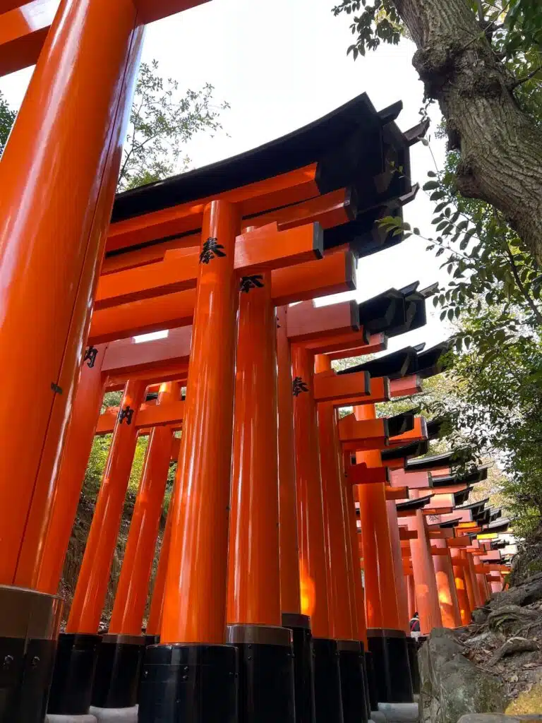 Torii Gates at Fushimi Inari Shrine in Kyoto, Japan