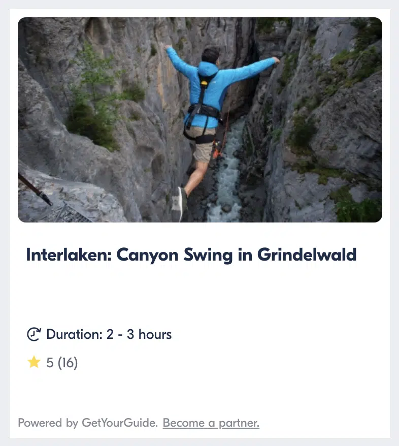 GetYourGuide Grindelwald Canyon Swing thumbnail