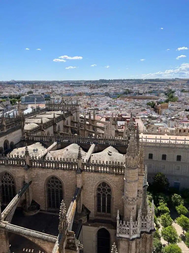 View from the top of La Giralda at Seville Cathedral