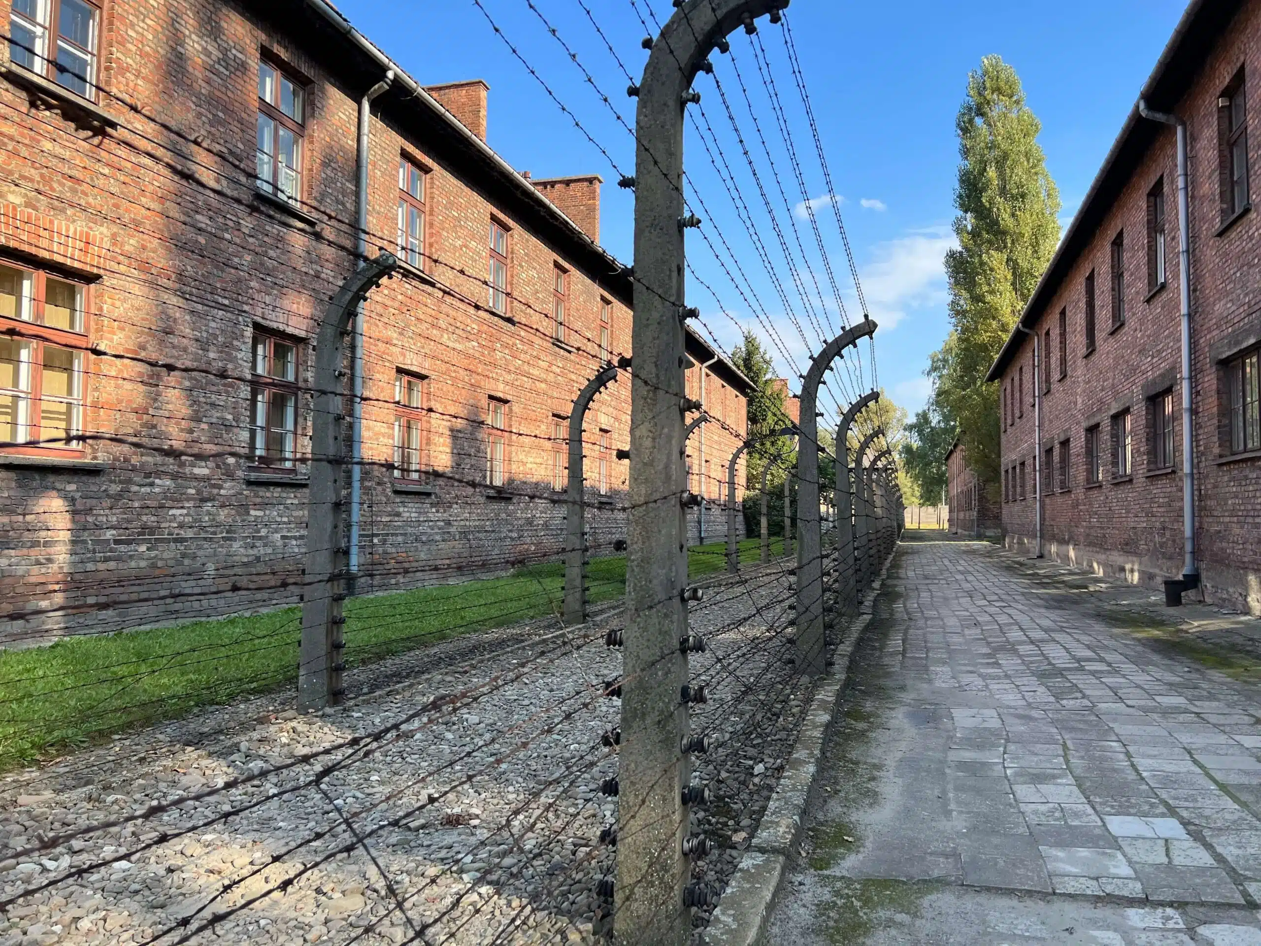 Barbed wire at Auschwitz. Visiting Auschwitz via a group tour is a good option for solo travelers.