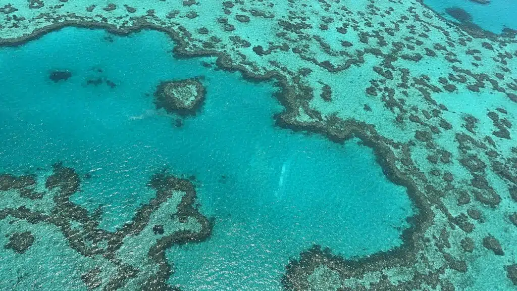 Heart Reef at the Great Barrier Reef seen from a helicopter during our stay at Reefsuites