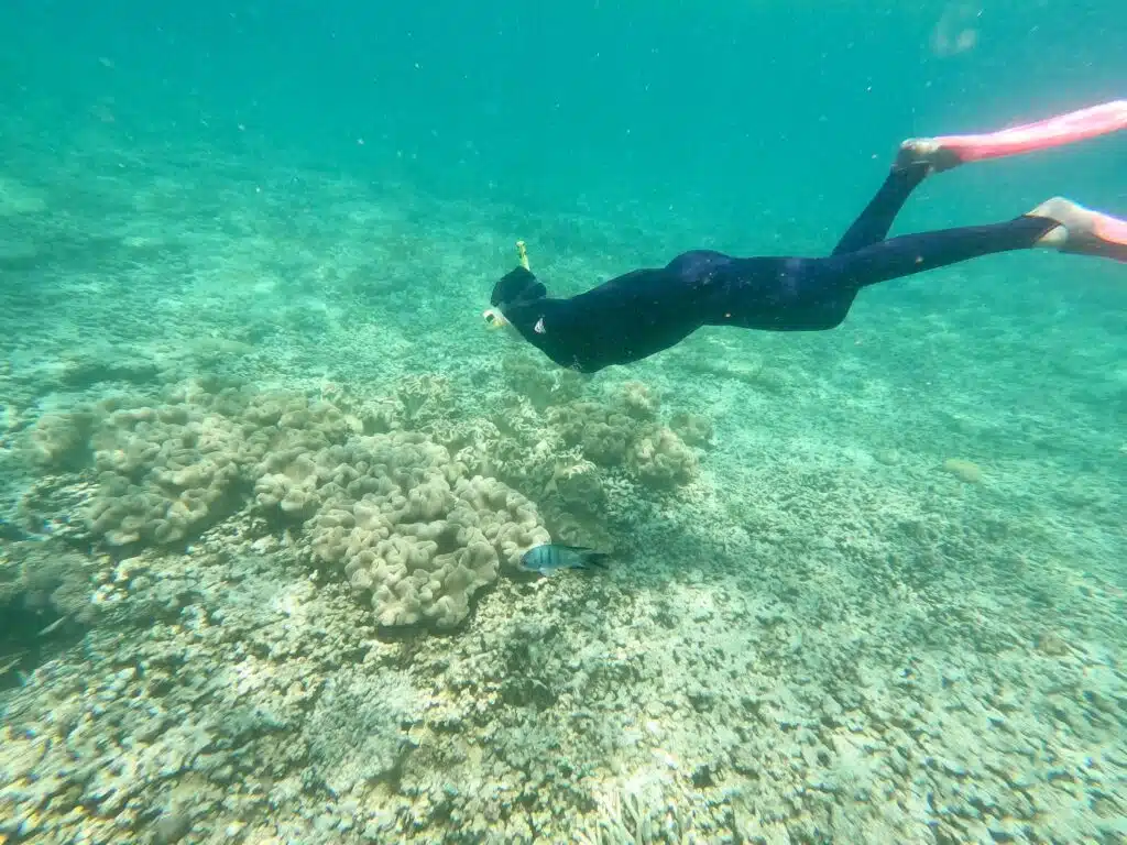 Snorkeling at Hardy Reef in Australia