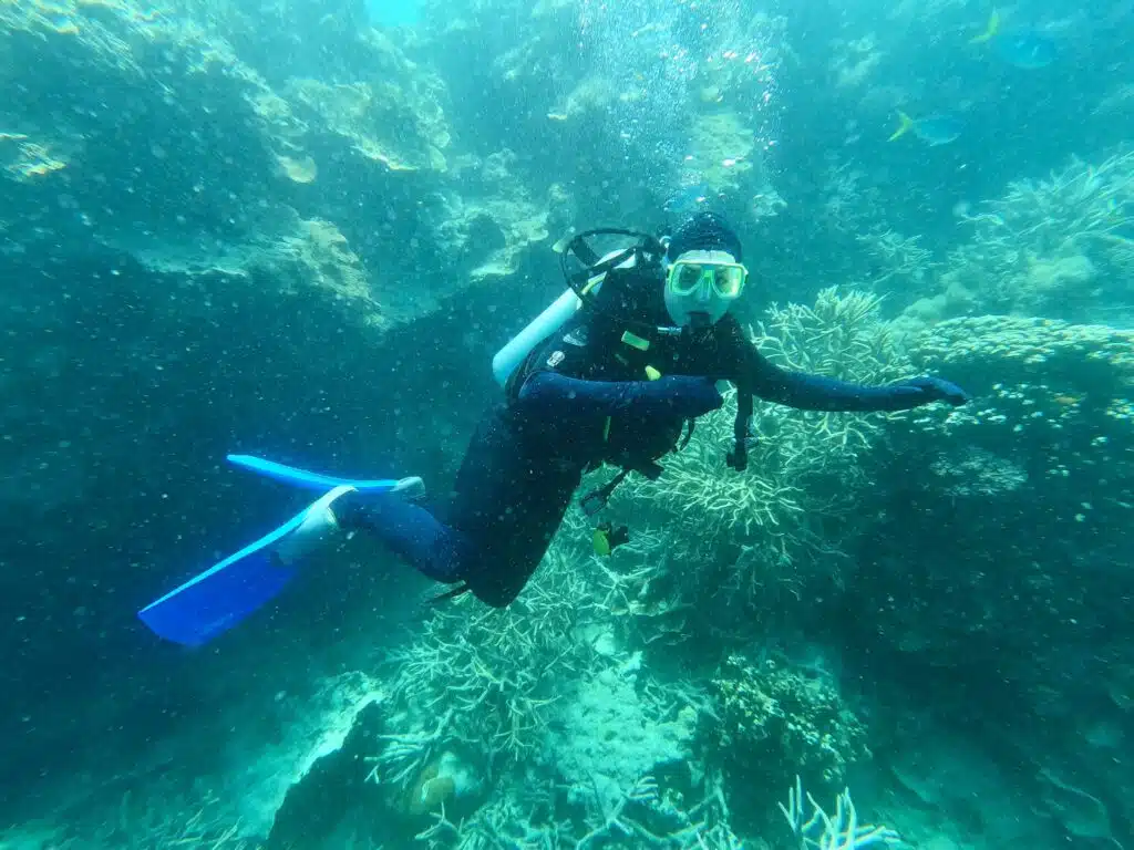 Scuba diving at Hardy Reef in Australia