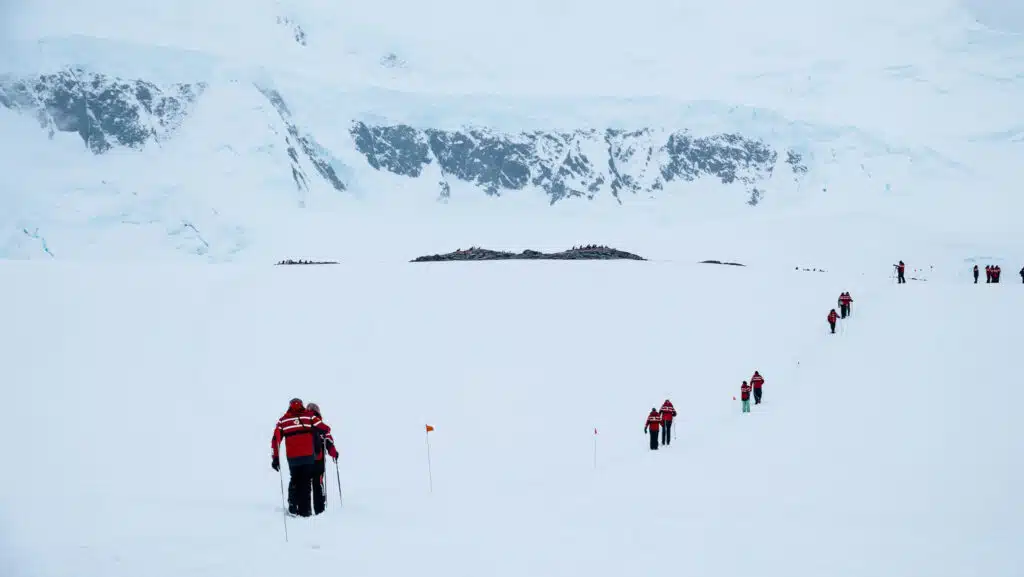 Excursion in Antarctica at Demoy Point