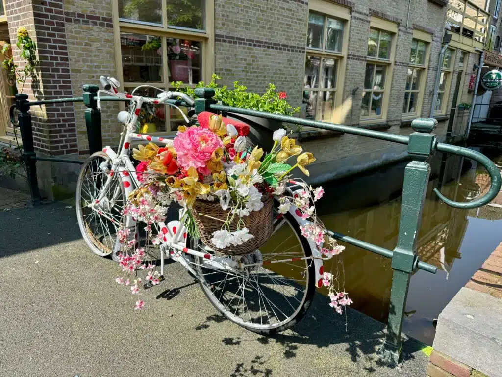 Flowers decorating a bike in Gouda, Netherlands