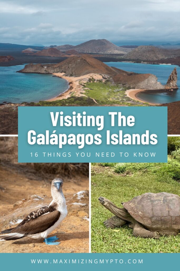 tips for visiting the Galapagos Pinterest pin