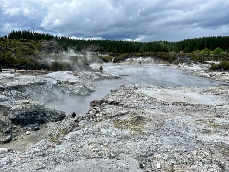 Hell's Gate geothermal sulfur pools in Rotorua, New Zealand