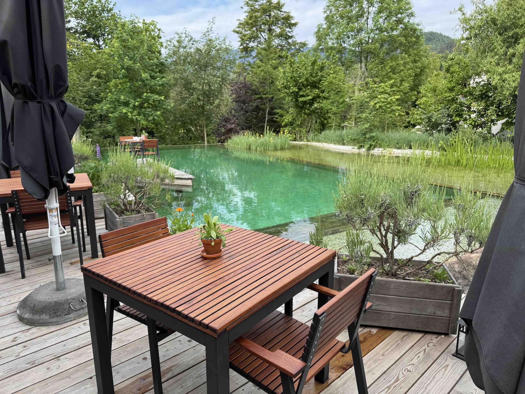 the pool and outdoor dining area at Garden Village Bled