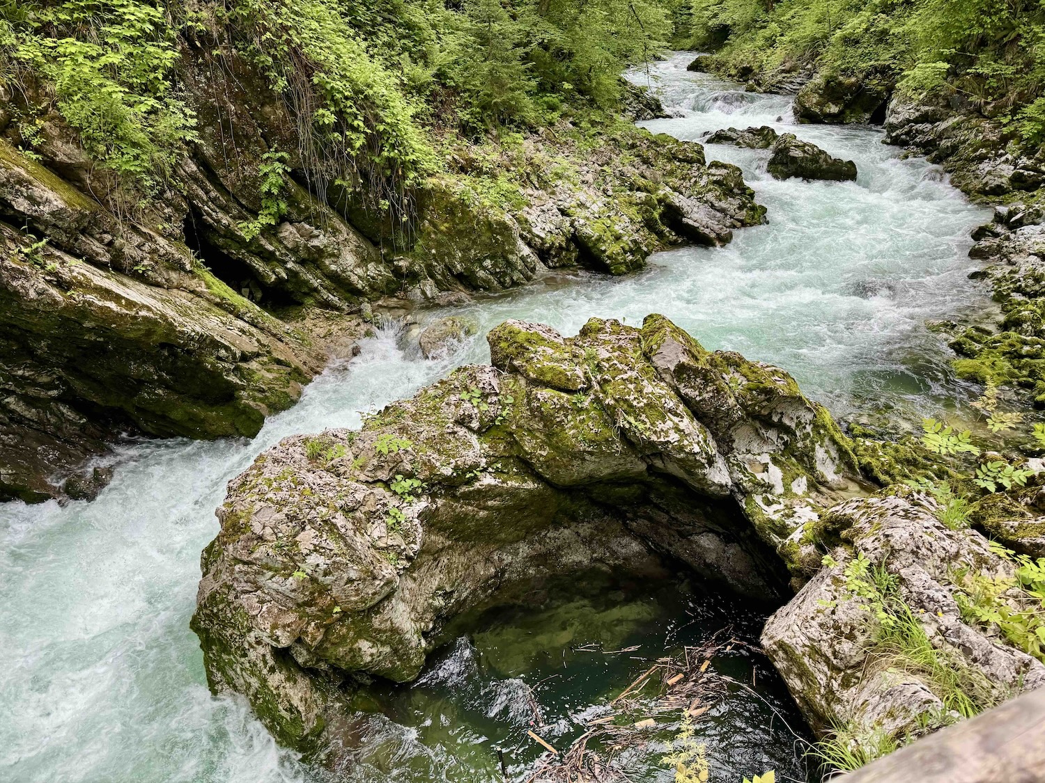 Vintgar Gorge in Slovenia