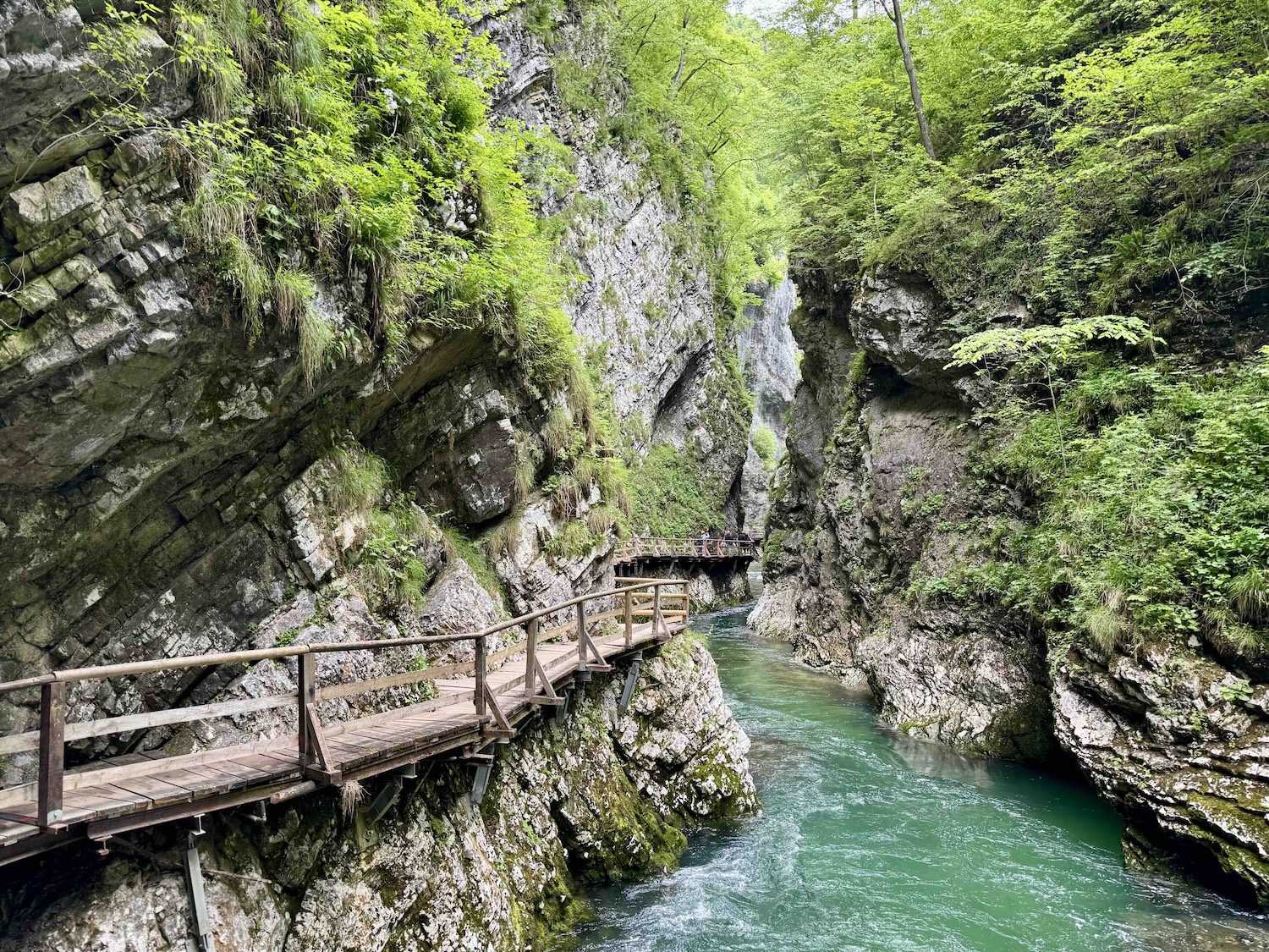 Vintgar Gorge in Slovenia
