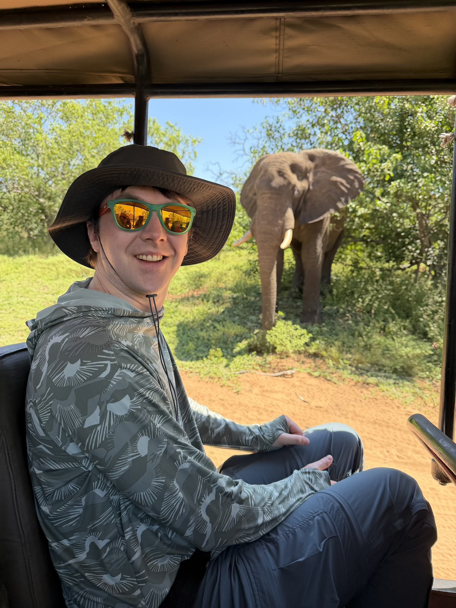 Elephant viewed from safari vehicle at Chobe National Park in Botswana